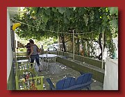 Terrasse mit Weinüberdachung 2